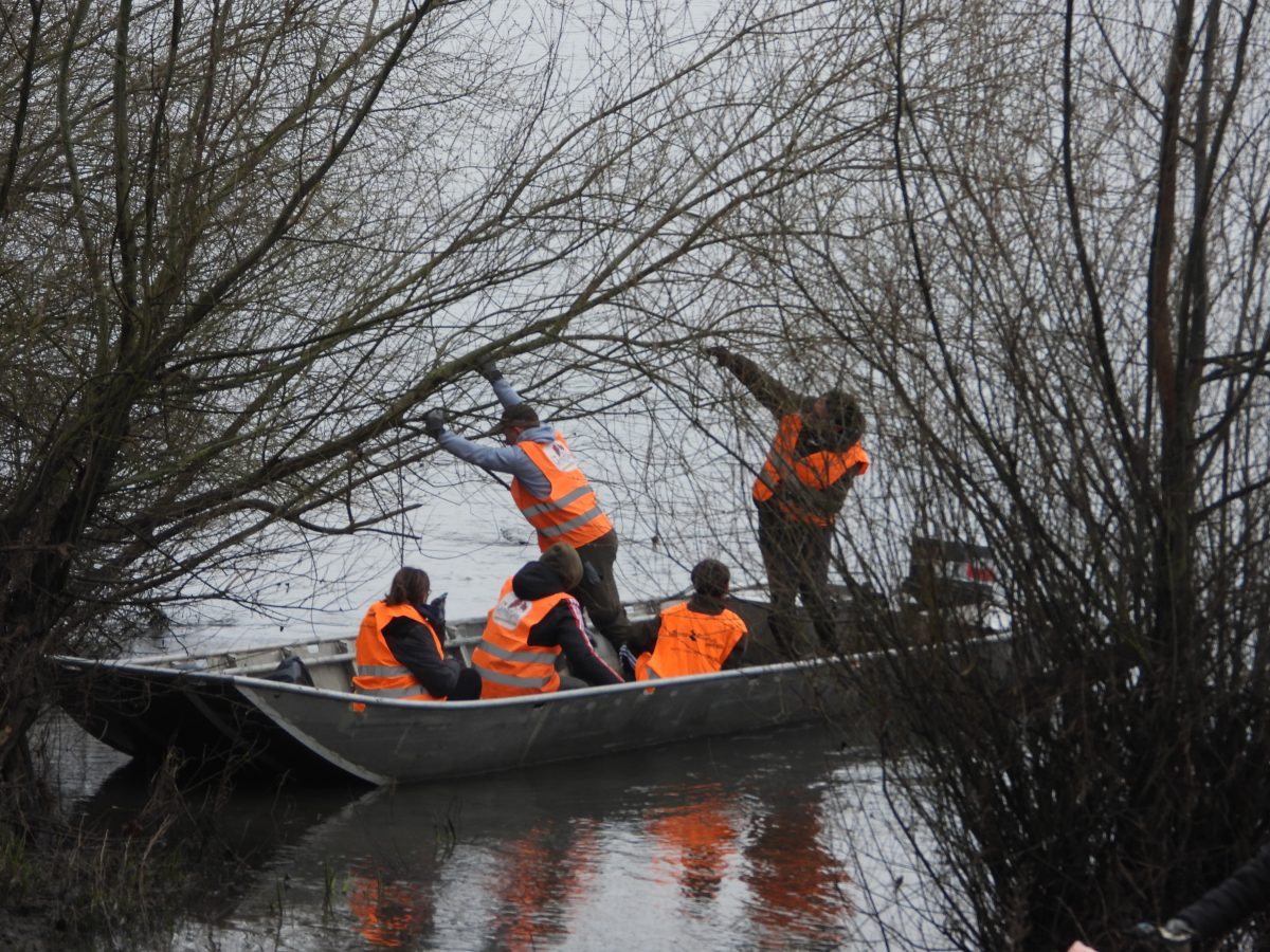 Des participants à l'opération j'aime la nature propre ramassant des déchets sur une rivière